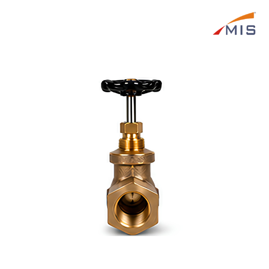 GM GATE VALVE