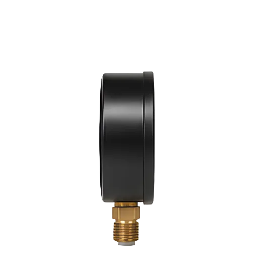 MS VACUUM PRESSURE GAUGE