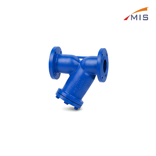 CI Y TYPE STRAINER F/E (NON IBR)