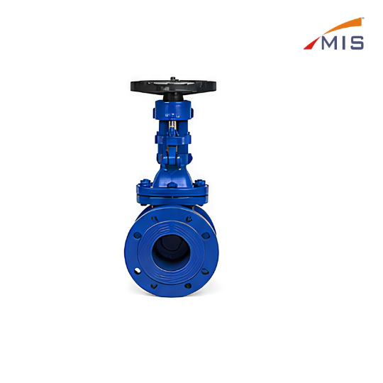 CS GATE VALVE (NO IBR) F/E