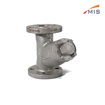 CI Y TYPE STRAINER F/E (IBR)