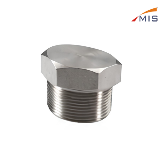 HEX HEAD PIPE PLUG