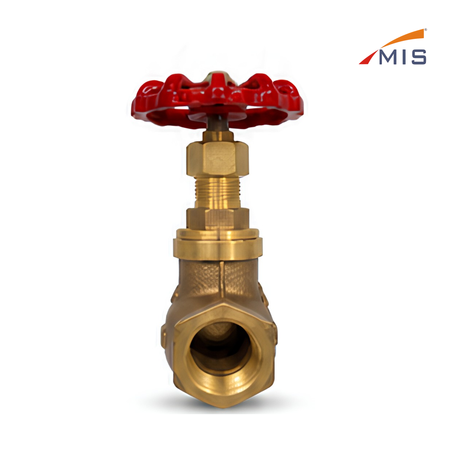 GM STEAM VALVE (IBR)
