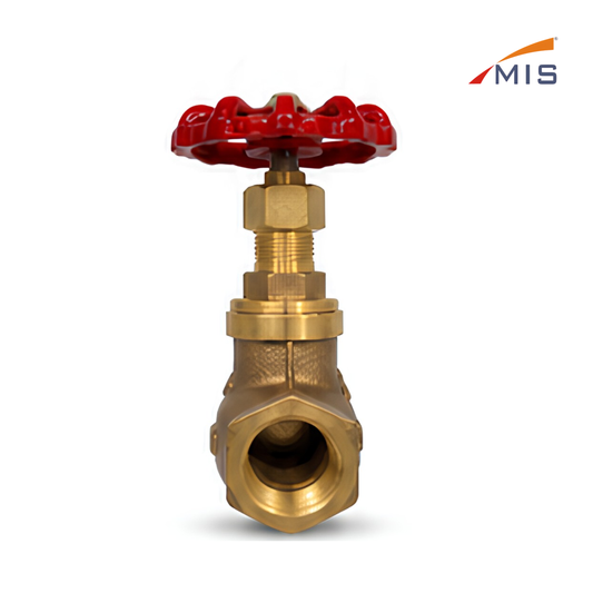 GM STEAM VALVE (IBR)