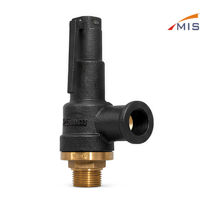 CI SAFETY VALVE (IBR)