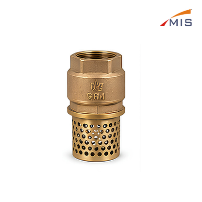 GM FOOT VALVE WITH STRAINER