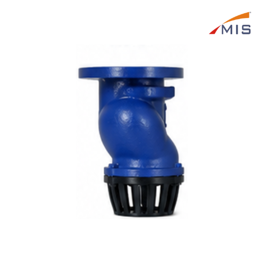 CI FLANGE TYPE FOOT VALVE