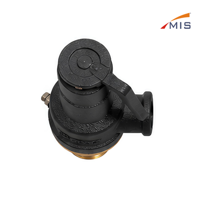 CI SAFETY VALVE (IBR)