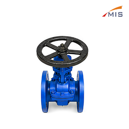 CS GATE VALVE (NO IBR) F/E