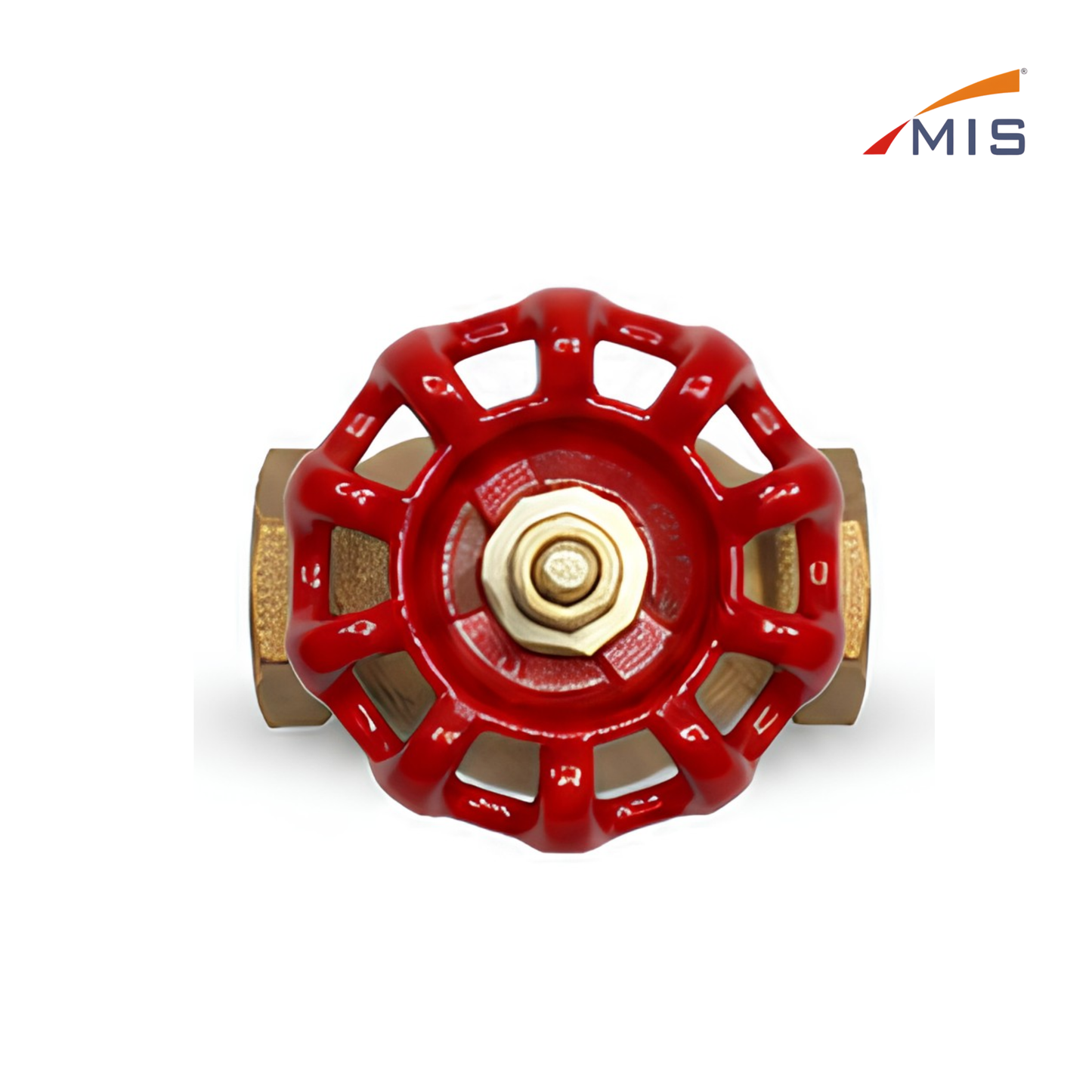 GM STEAM VALVE (IBR)