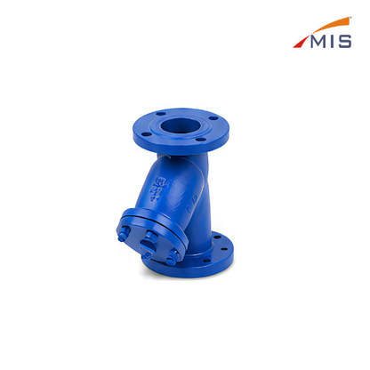 CI Y TYPE STRAINER F/E (NON IBR)