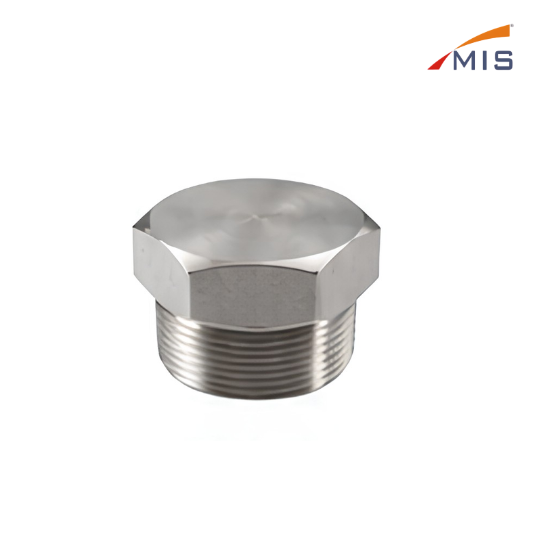 HEX HEAD PIPE PLUG