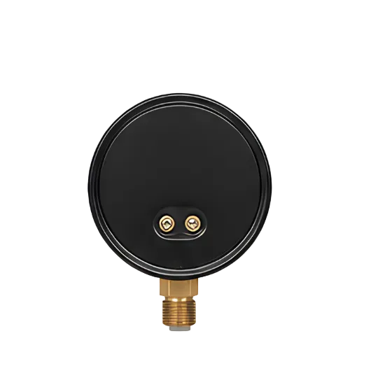 MS VACUUM PRESSURE GAUGE