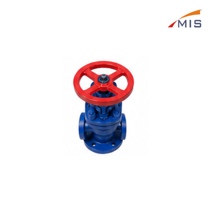 FEED CHECK VALVE F/E