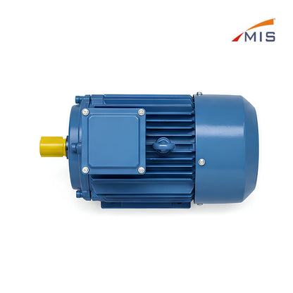 Electric Motor