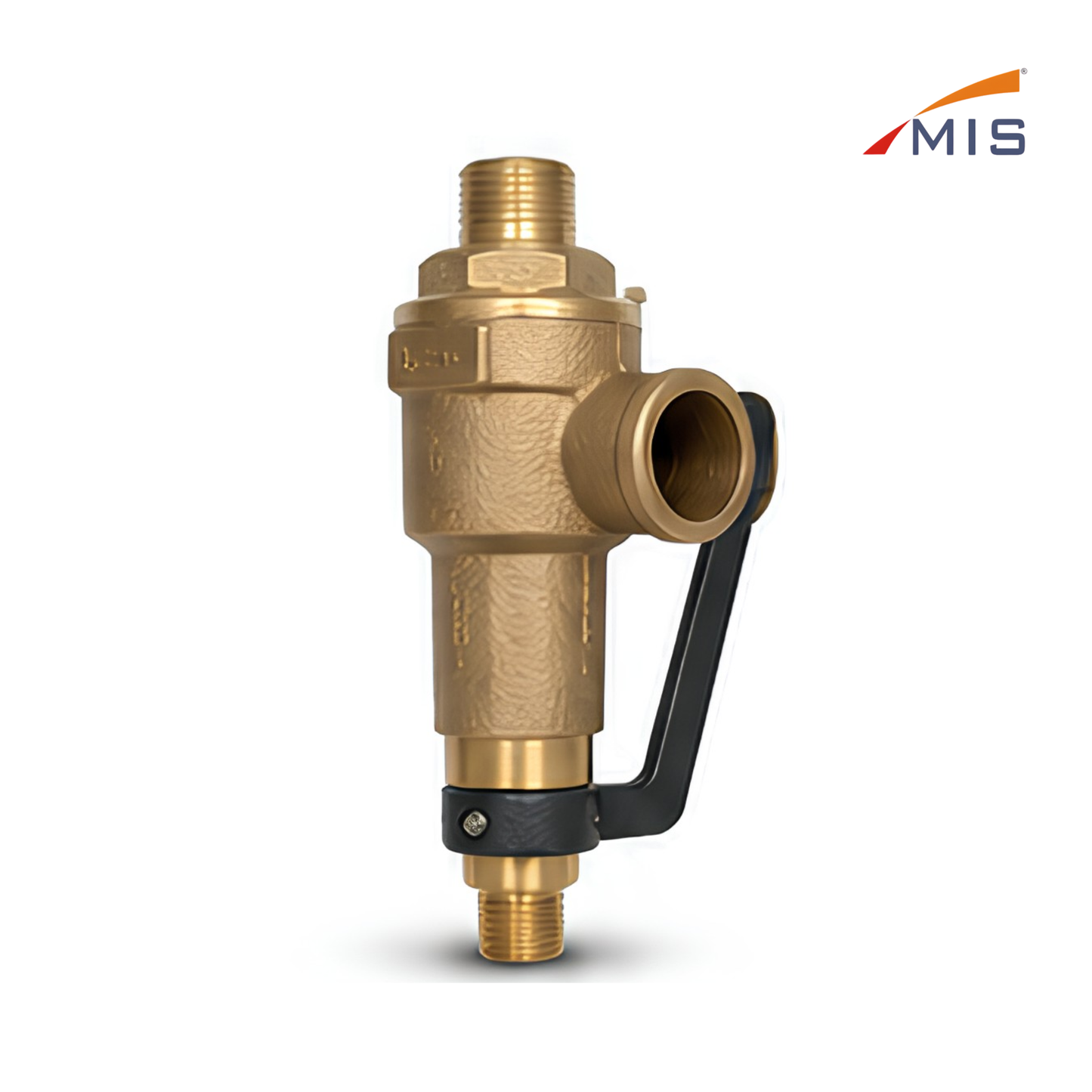GM SAFETY VALVE (IBR)