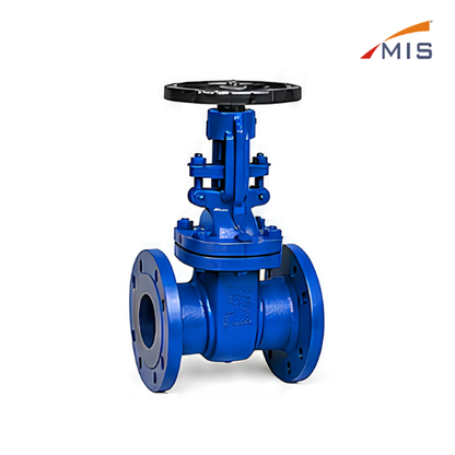 CS GATE VALVE (NO IBR) F/E