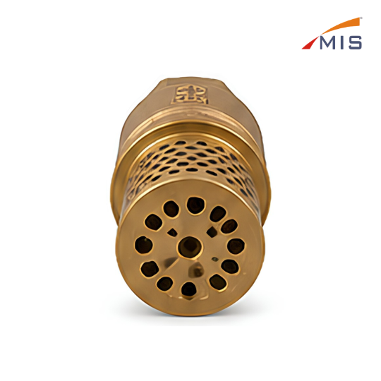 GM FOOT VALVE WITH STRAINER
