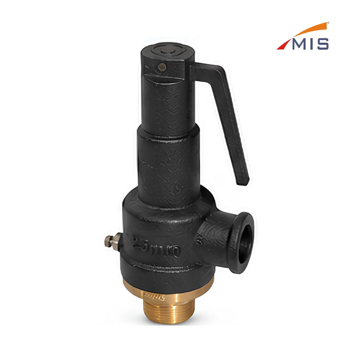 CI SAFETY VALVE (IBR)