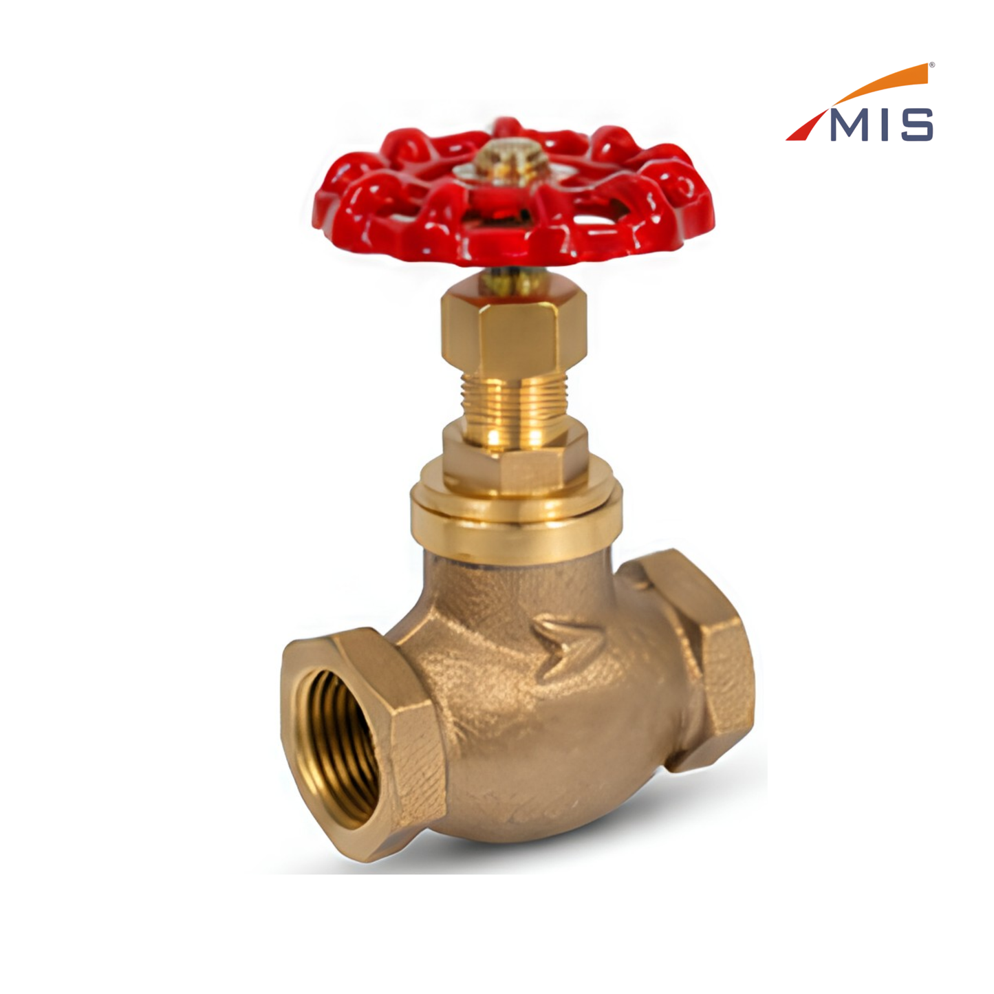 GM STEAM VALVE (IBR)