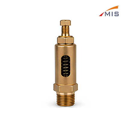 GM SAFETY VALVE VERTICAL TYPE (GUN METAL / BRONZE)