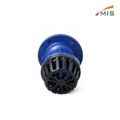 CI FLANGE TYPE FOOT VALVE