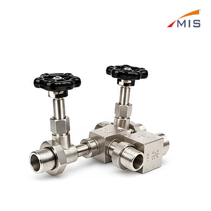 SS WATER LEVEL GAUGE SET