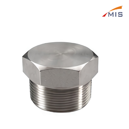 HEX HEAD PIPE PLUG