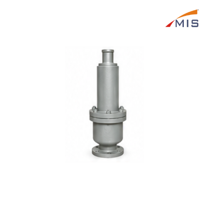 CS SAFETY VALVE