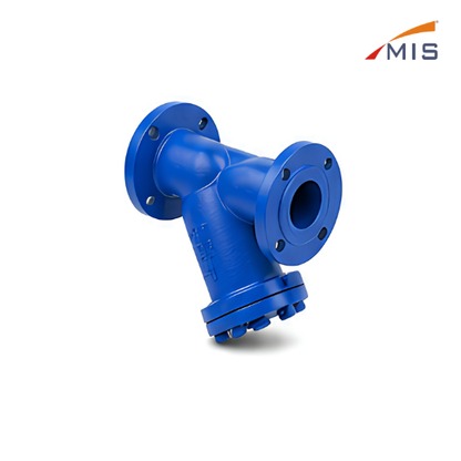 CI Y TYPE STRAINER F/E (NON IBR)