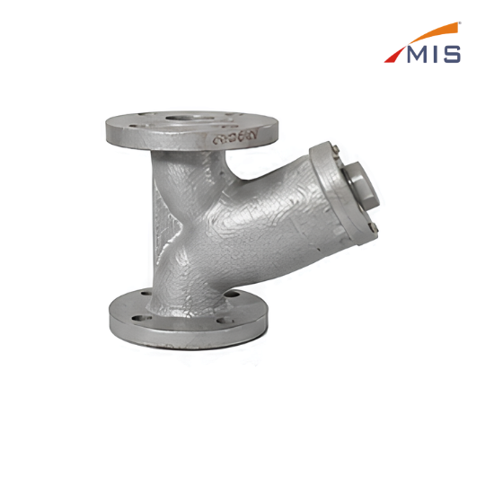 CI Y TYPE STRAINER F/E (IBR)