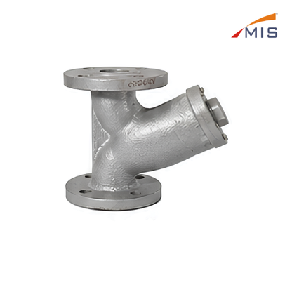 CI Y TYPE STRAINER F/E (IBR)