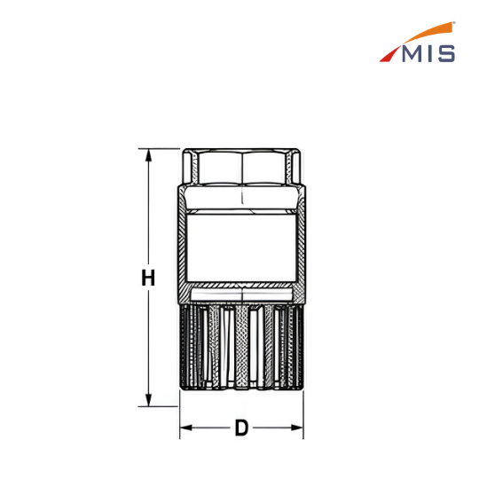 CI FOOT VALVE
