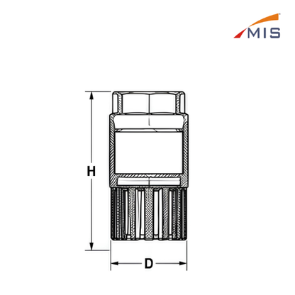 CI FOOT VALVE