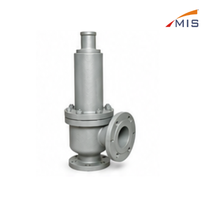 CS SAFETY VALVE