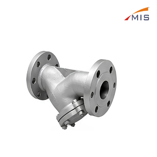 CS Y TYPE STRAINER F/E (NON IBR)