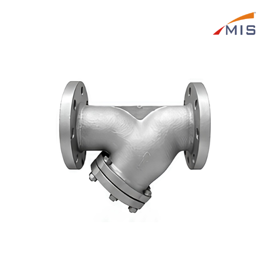 CS Y TYPE STRAINER F/E (NON IBR)